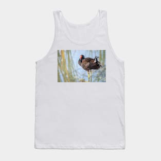 Common Gallinule Looking Fluffy Tank Top